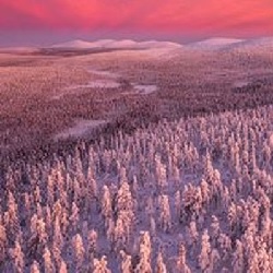 CITY CARD Angebotsbild