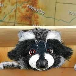 CITY CARD Angebotsbild