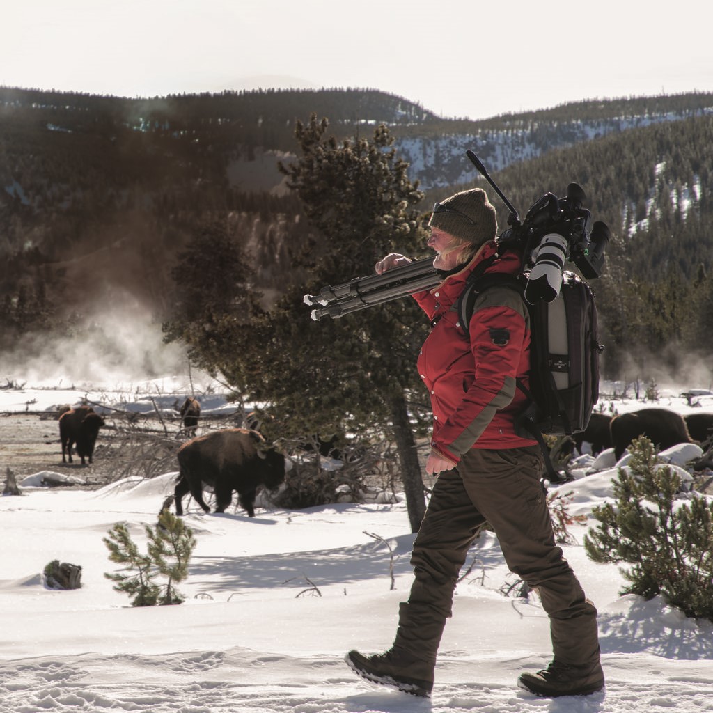 CITY CARD Angebotsbild