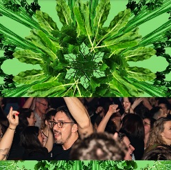 CITY CARD Angebotsbild