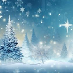 CITY CARD Angebotsbild