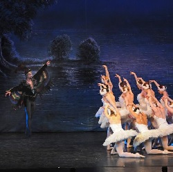 CITY CARD Angebotsbild